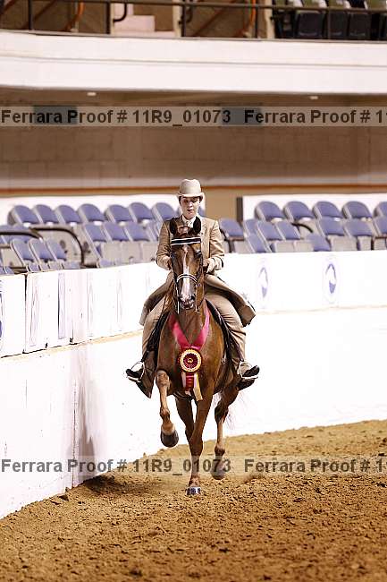 Proof 11r9_01073