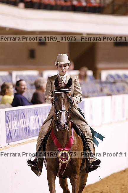 Proof 11r9_01075