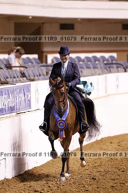 Proof 11r9_01079