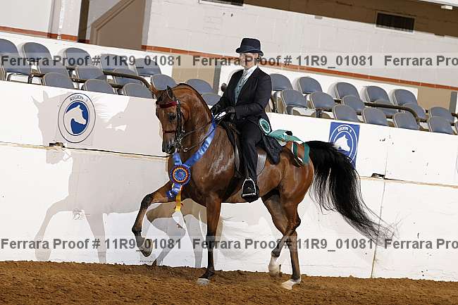 Proof 11r9_01081