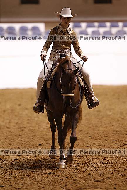 Proof 11r9_01095
