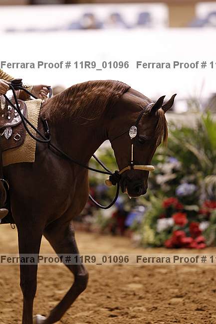 Proof 11r9_01096