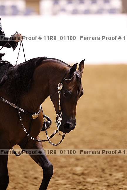 Proof 11r9_01100