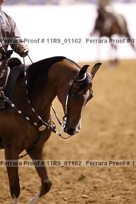 Proof 11r9_01102