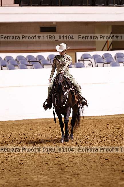 Proof 11r9_01104