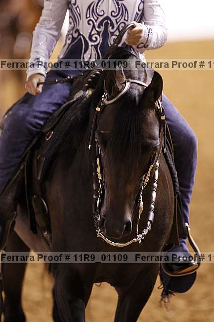 Proof 11r9_01109