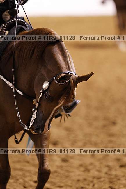 Proof 11r9_01128