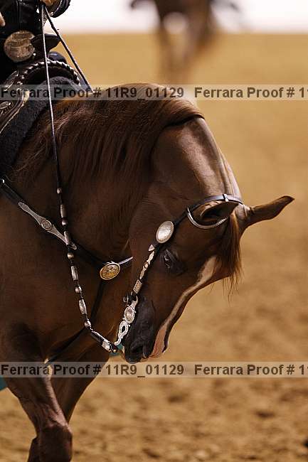 Proof 11r9_01129