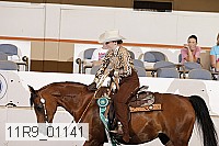 11r9_01141 proof