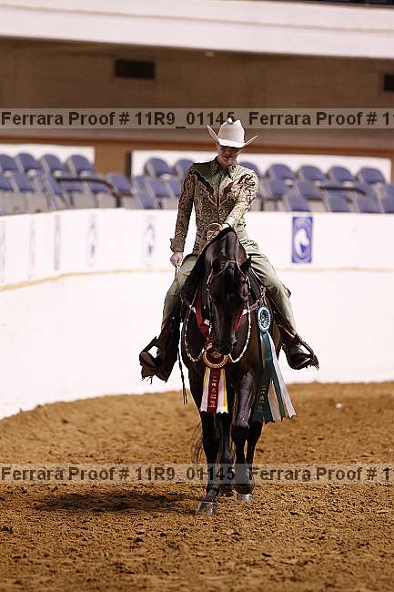 Proof 11r9_01145