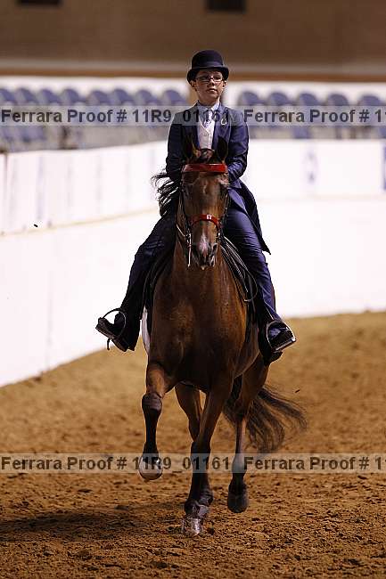 Proof 11r9_01161