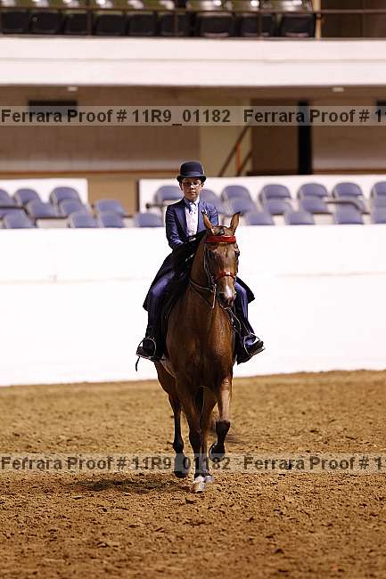 Proof 11r9_01182