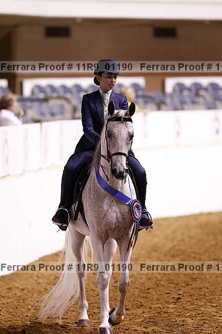 Proof 11r9_01190