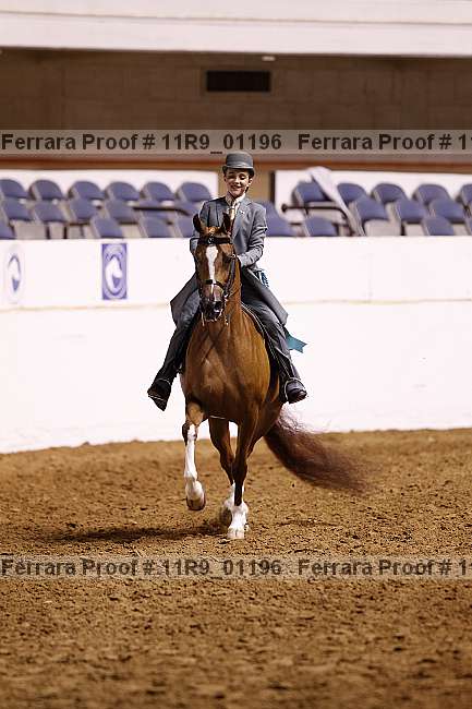 Proof 11r9_01196