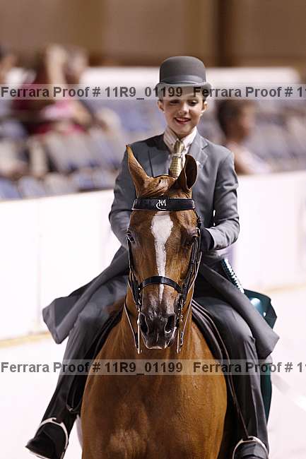 Proof 11r9_01199