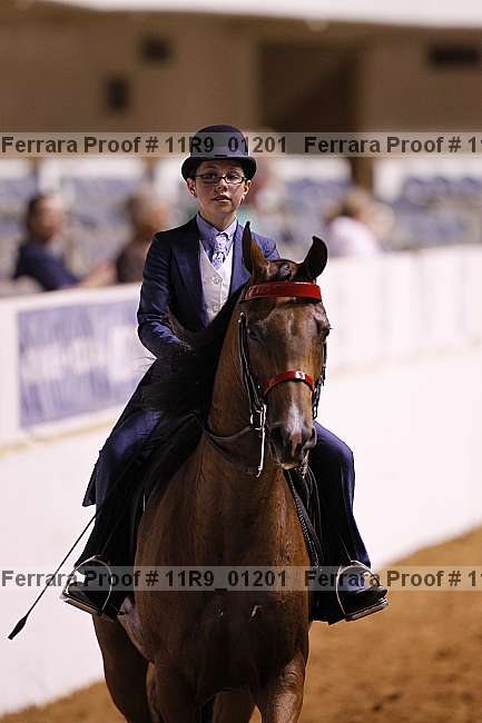 Proof 11r9_01201