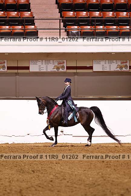 Proof 11r9_01202
