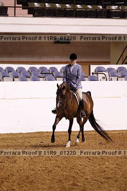 Proof 11r9_01220