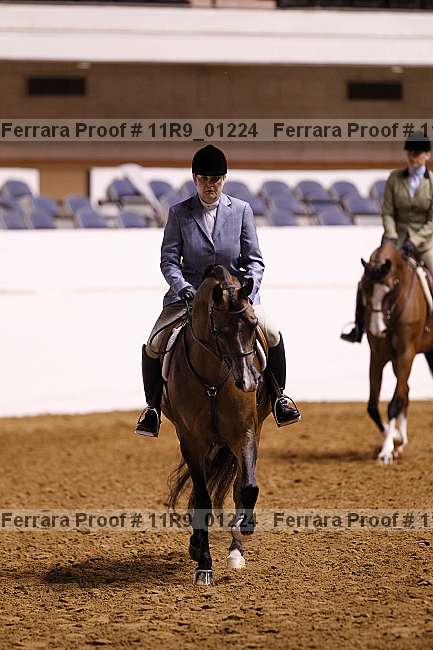 Proof 11r9_01224