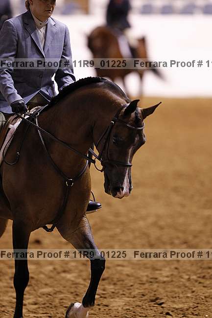 Proof 11r9_01225