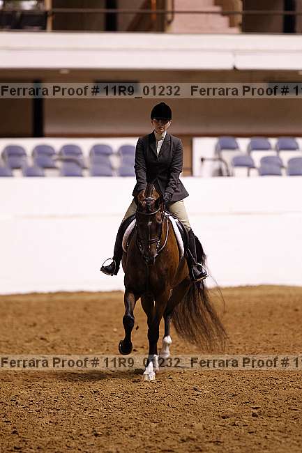 Proof 11r9_01232
