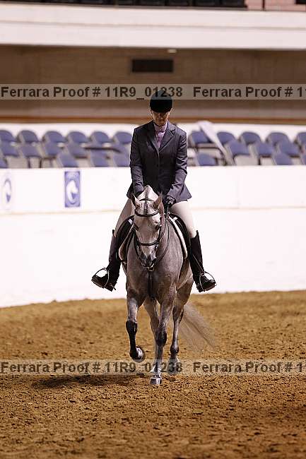 Proof 11r9_01238