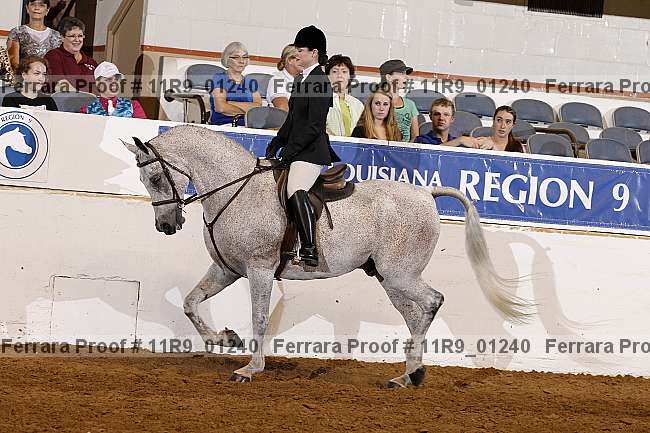Proof 11r9_01240