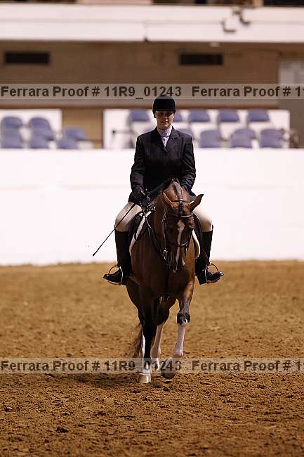 Proof 11r9_01243