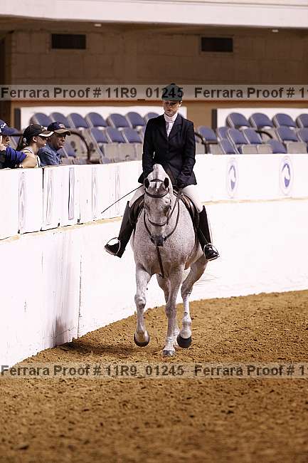 Proof 11r9_01245