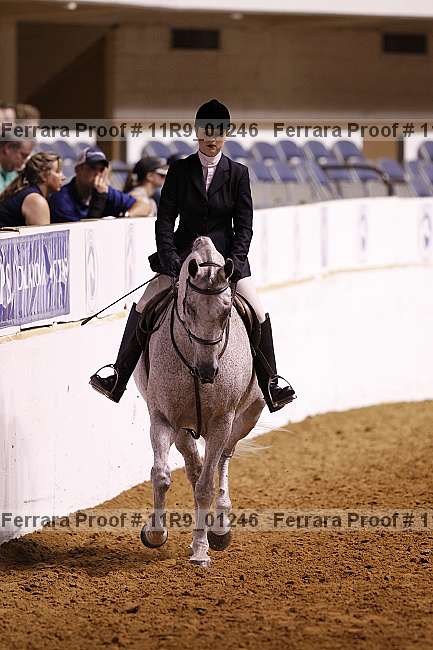 Proof 11r9_01246
