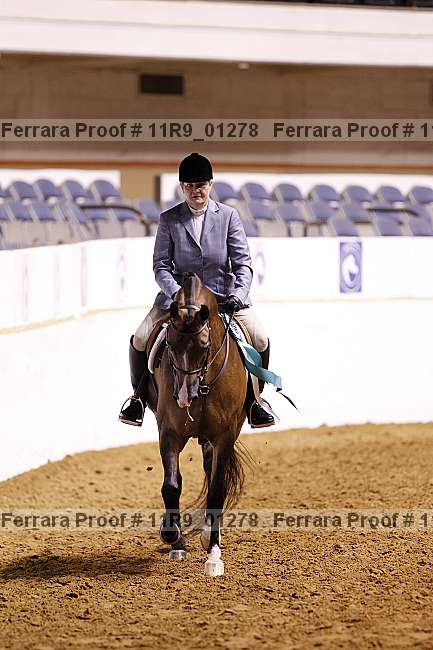 Proof 11r9_01278
