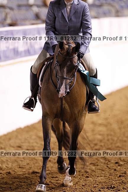 Proof 11r9_01282