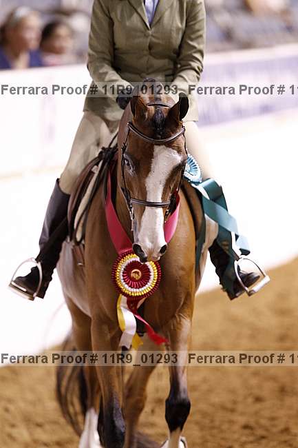 Proof 11r9_01293