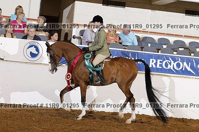 Proof 11r9_01295