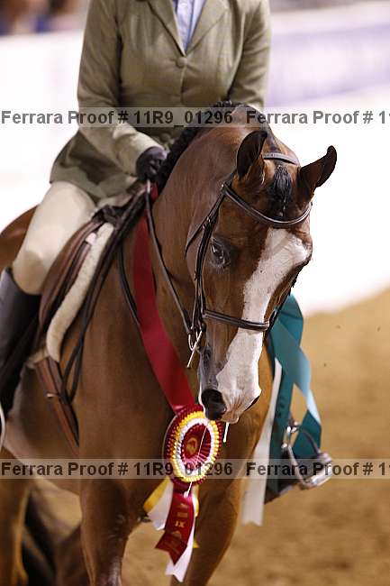 Proof 11r9_01296