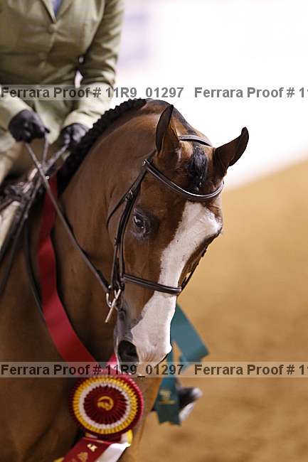 Proof 11r9_01297
