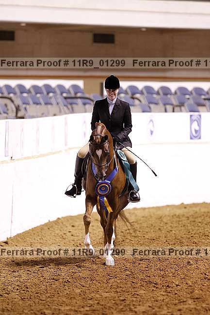 Proof 11r9_01299