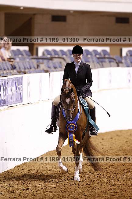 Proof 11r9_01300