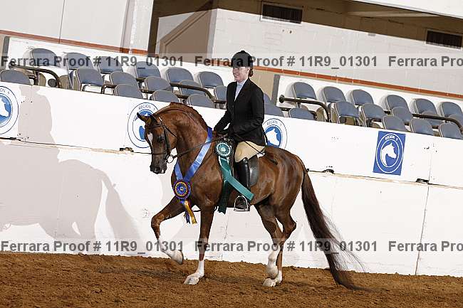 Proof 11r9_01301