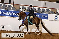 11r9_01302 proof