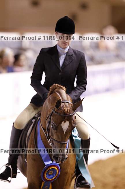 Proof 11r9_01304