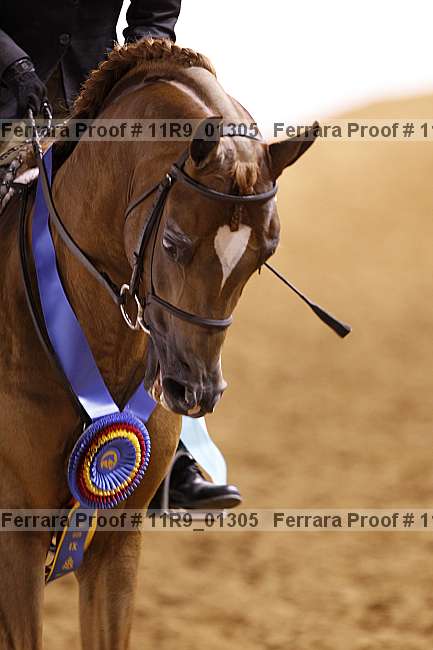 Proof 11r9_01305