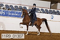 11r9_01307 proof