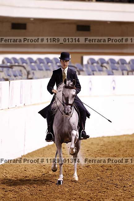 Proof 11r9_01314