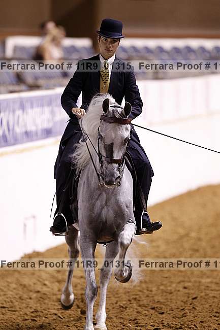 Proof 11r9_01315