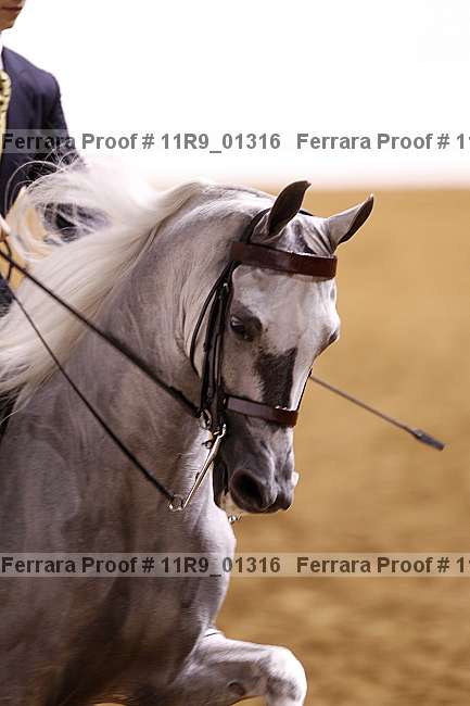 Proof 11r9_01316