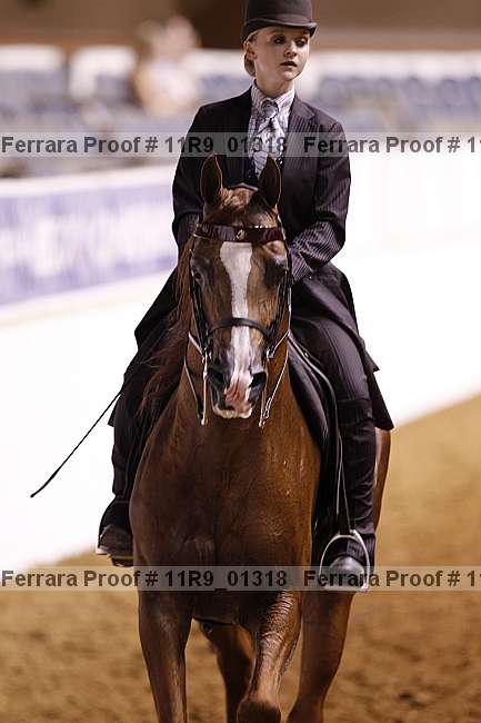 Proof 11r9_01318