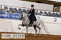 11r9_01319 proof