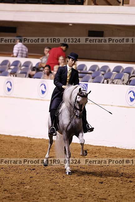 Proof 11r9_01324