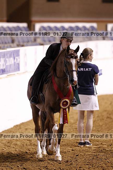 Proof 11r9_01327